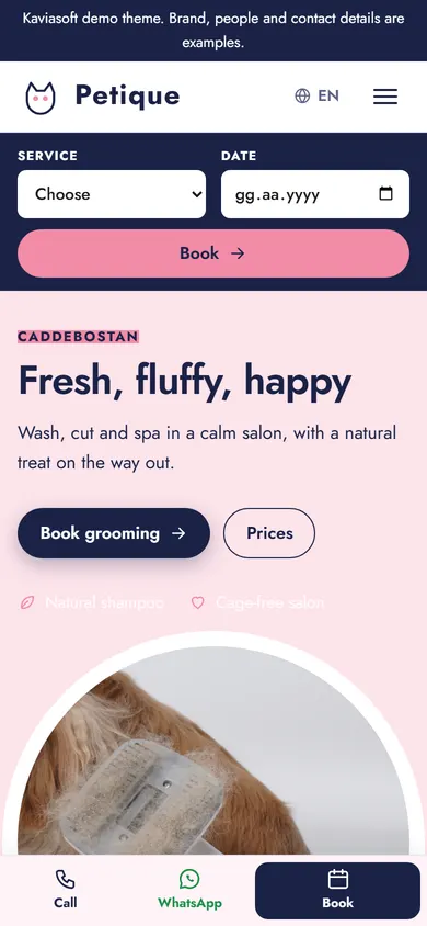 Petique · Pet Boutique & Grooming on a phone