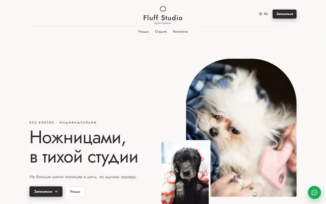 Fluff Studio · Бутик-груминг скриншот